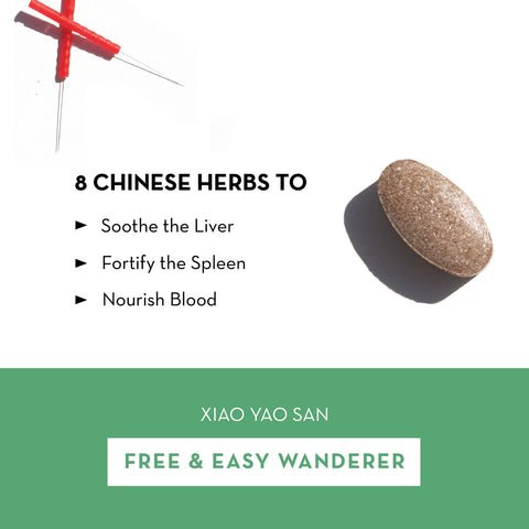 Practitioner Free & Easy Wanderer