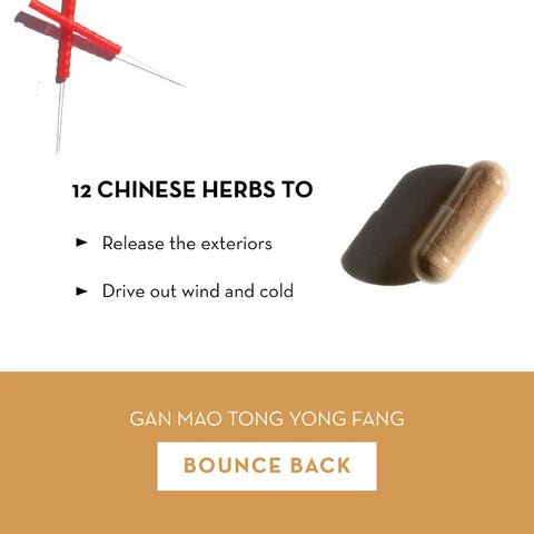Bounce Back