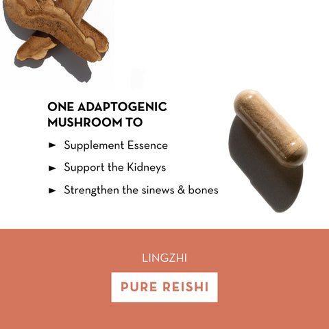 Pure Reishi