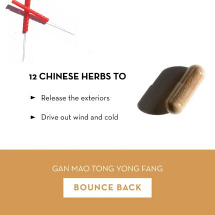 Bounce back 1