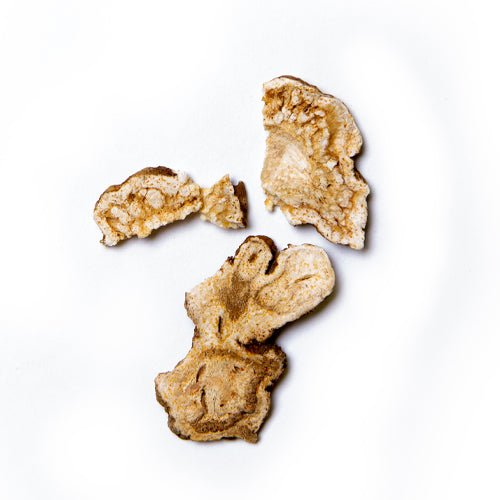 Astragalus Root (Huang Qi)