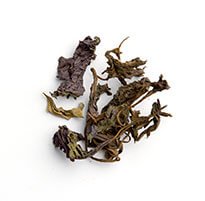 Perilla (Leaf) / Zi Su Ye