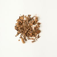 Taxillus (Plant)/Sang Ji Sheng