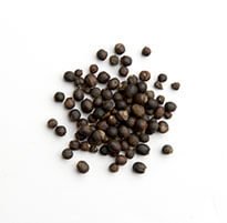 Vitex (Fruit) / Man Jing Zi