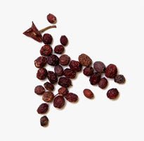Hawthorn Berry (fruit)/Shan Zha