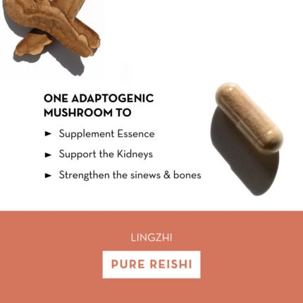 Pure reishi